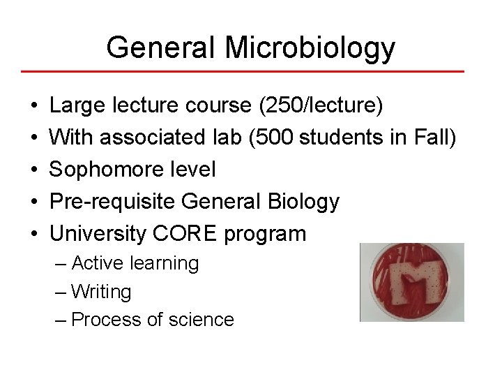 General Microbiology • • • Large lecture course (250/lecture) With associated lab (500 students