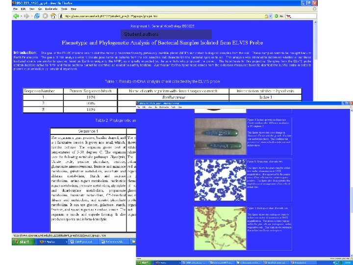 See Poster Session Student authors 