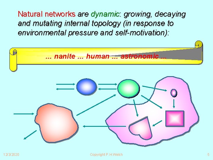 Natural networks are dynamic: growing, decaying and mutating internal topology (in response to environmental