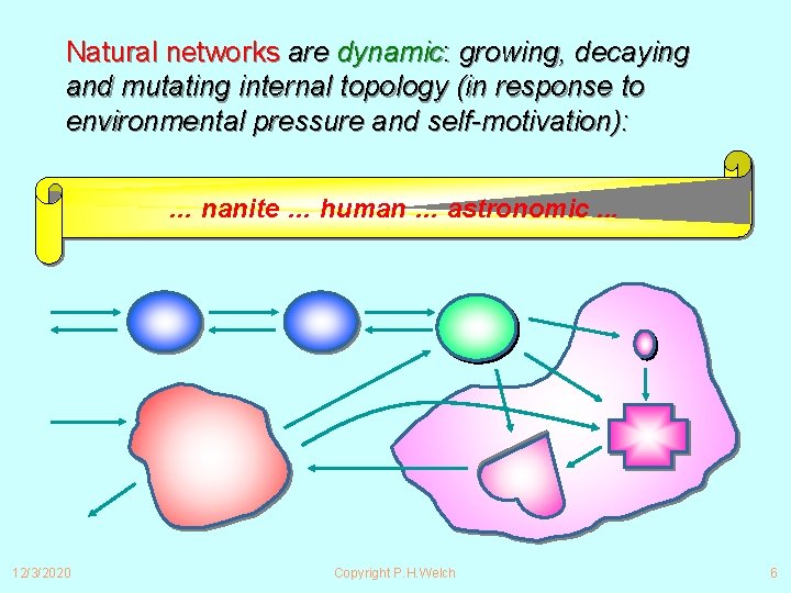 Natural networks are dynamic: growing, decaying and mutating internal topology (in response to environmental