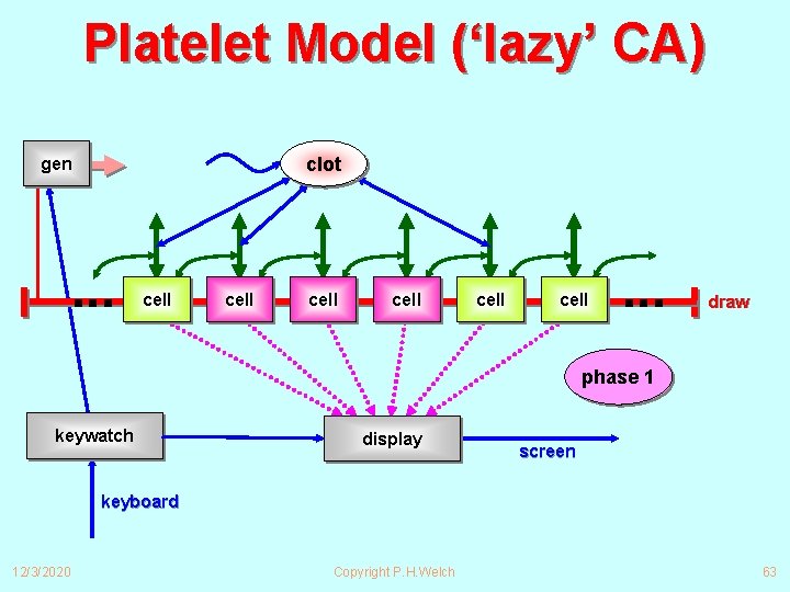 Platelet Model (‘lazy’ CA) clot gen ∙∙∙ cell cell ∙∙∙ draw phase 1 keywatch