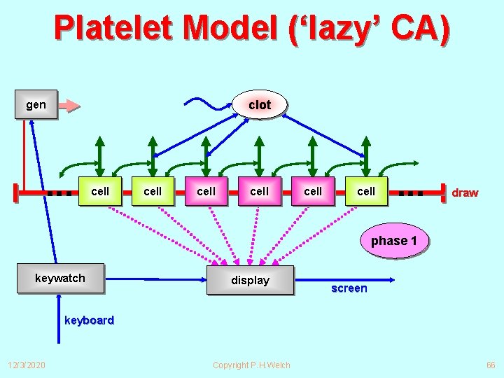 Platelet Model (‘lazy’ CA) clot gen ∙∙∙ cell cell ∙∙∙ draw phase 1 keywatch