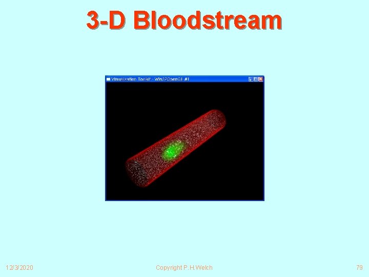 3 -D Bloodstream 12/3/2020 Copyright P. H. Welch 79 