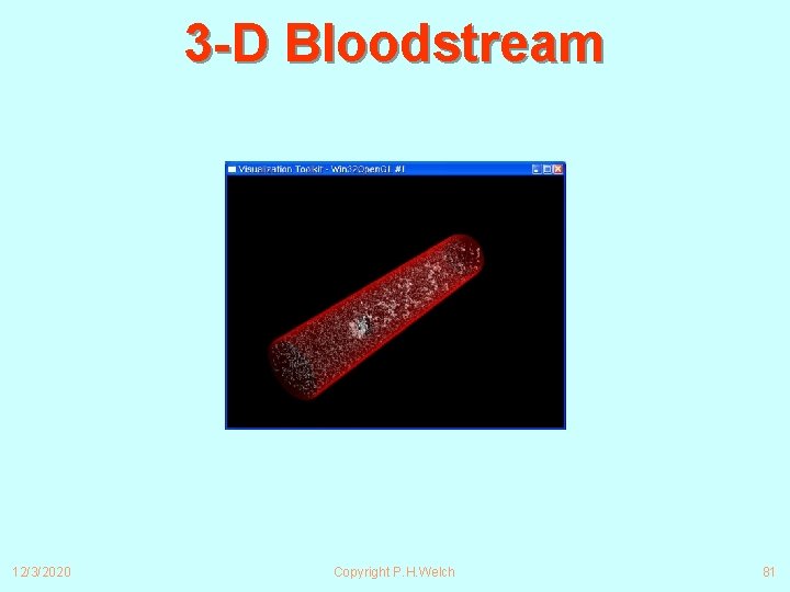 3 -D Bloodstream 12/3/2020 Copyright P. H. Welch 81 