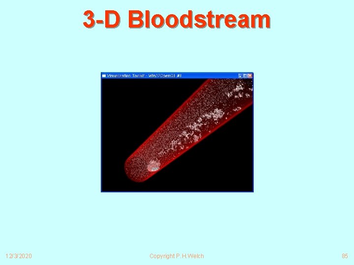 3 -D Bloodstream 12/3/2020 Copyright P. H. Welch 85 