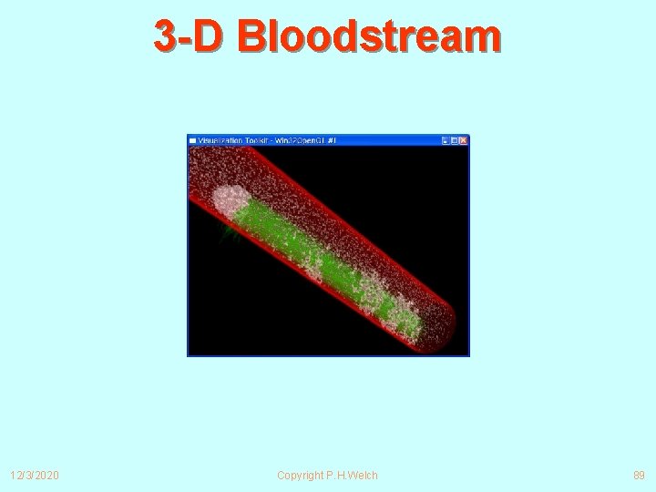 3 -D Bloodstream 12/3/2020 Copyright P. H. Welch 89 