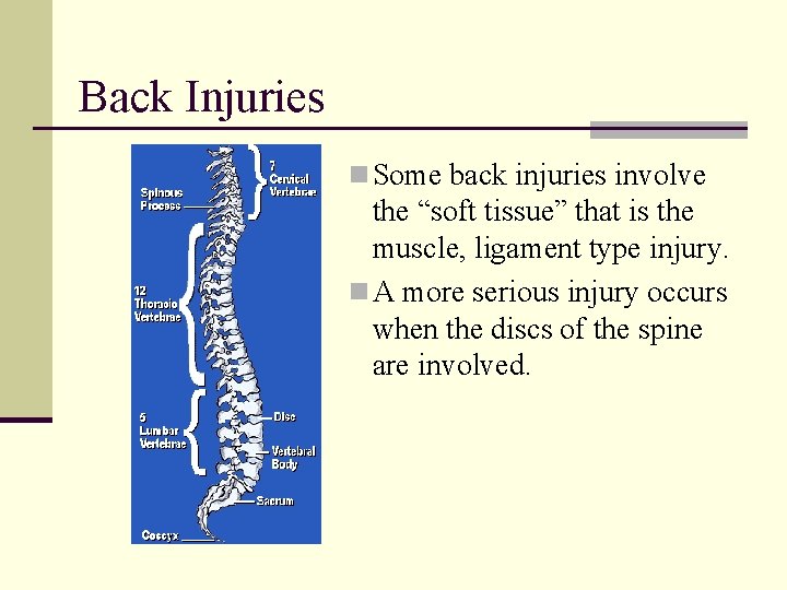 Back Injuries n Some back injuries involve the “soft tissue” that is the muscle,