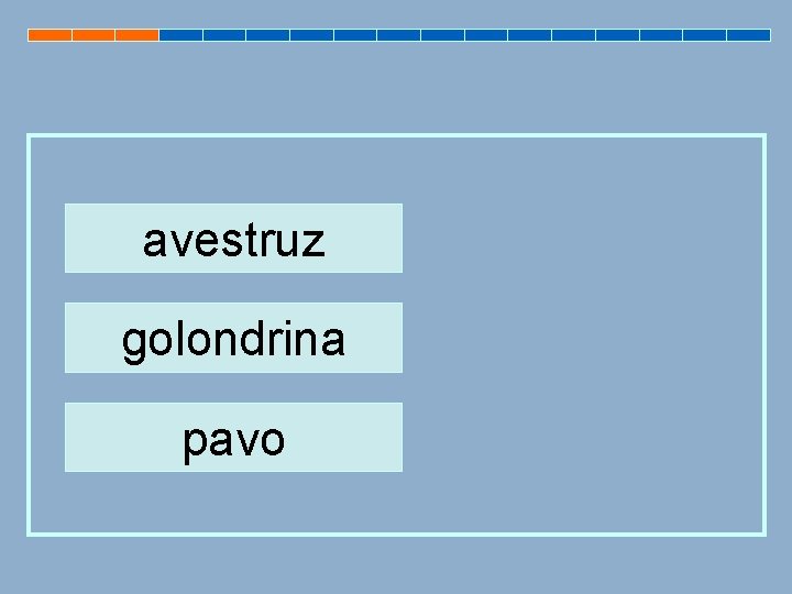 avestruz golondrina pavo 