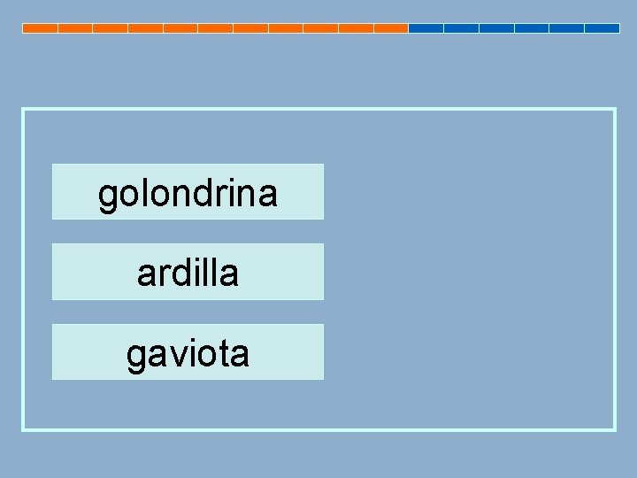 golondrina ardilla gaviota 