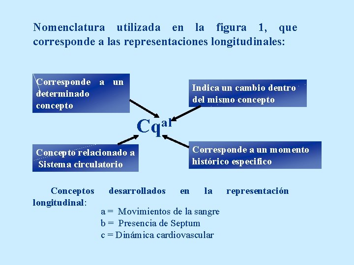 Nomenclatura utilizada en la figura 1, que corresponde a las representaciones longitudinales: Corresponde a