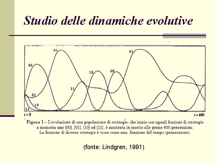 Studio delle dinamiche evolutive (fonte: Lindgren, 1991) 