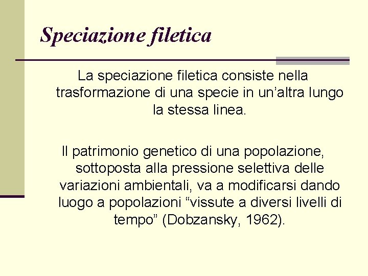 Speciazione filetica La speciazione filetica consiste nella trasformazione di una specie in un’altra lungo