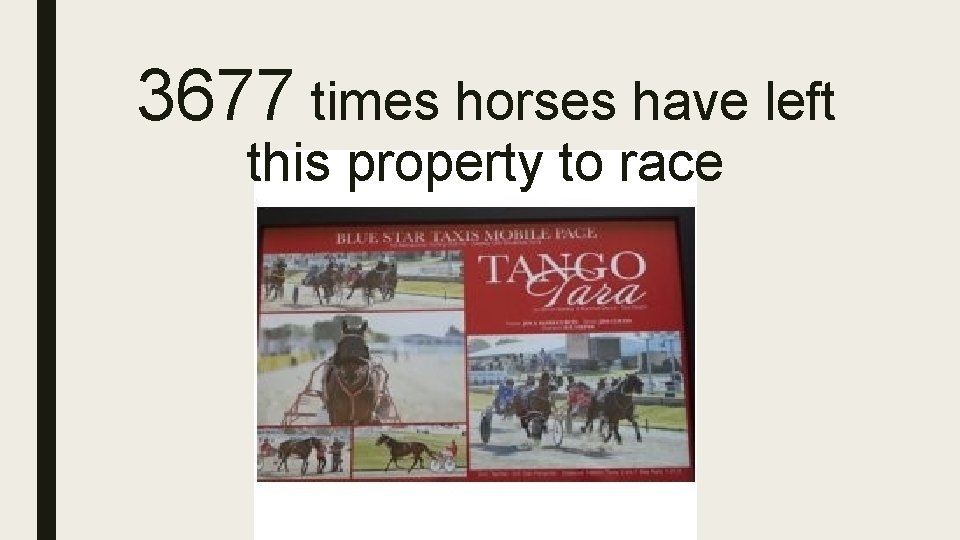 3677 times horses have left this property to race 