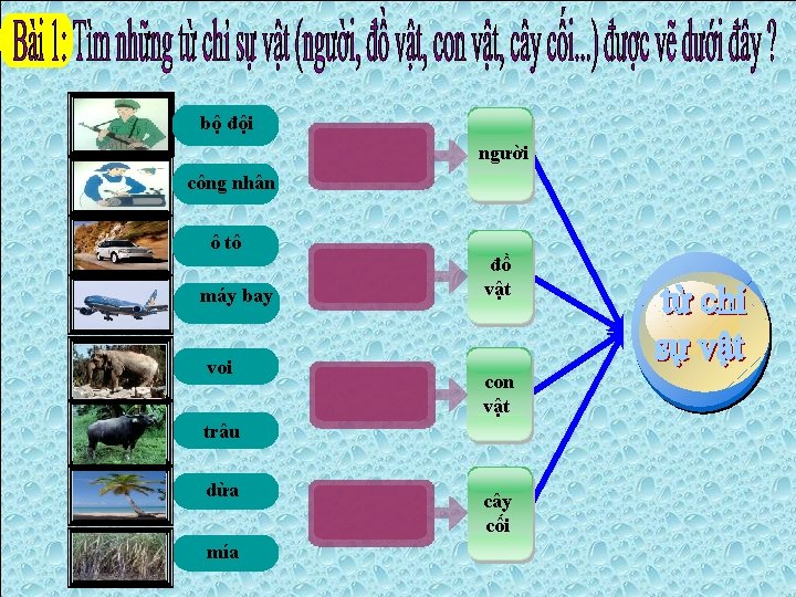 bộ đội người công nhân ô tô máy bay voi đồ vật con vật