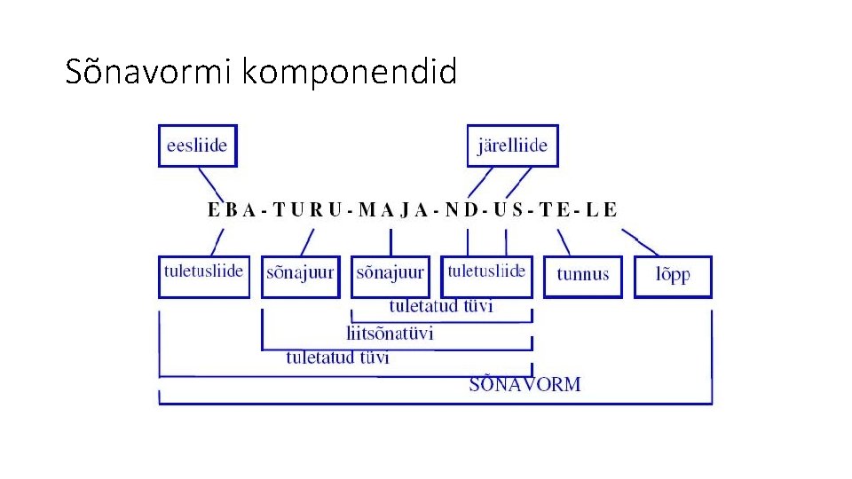 Sõnavormi komponendid 