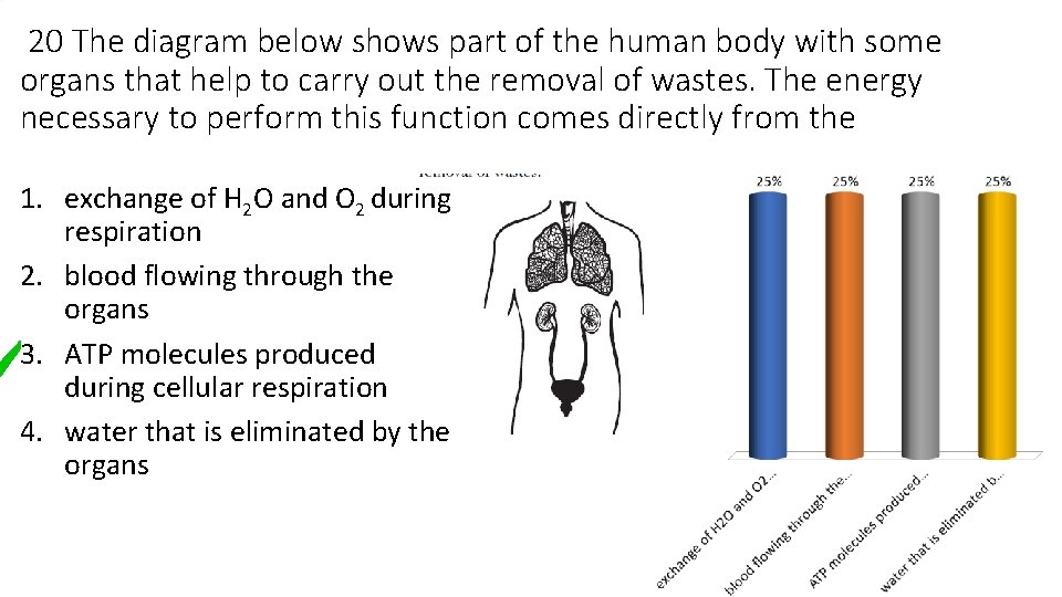 20 The diagram below shows part of the human body with some organs that