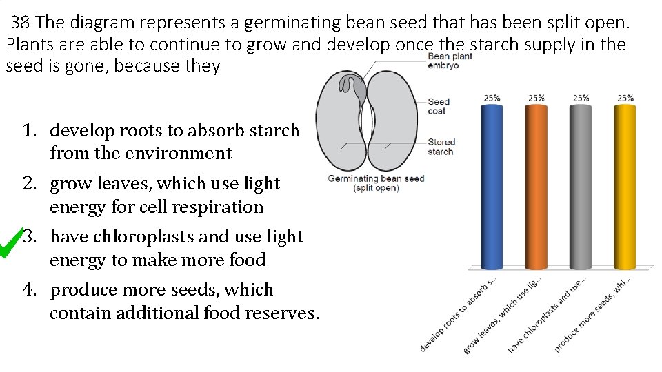 38 The diagram represents a germinating bean seed that has been split open. Plants