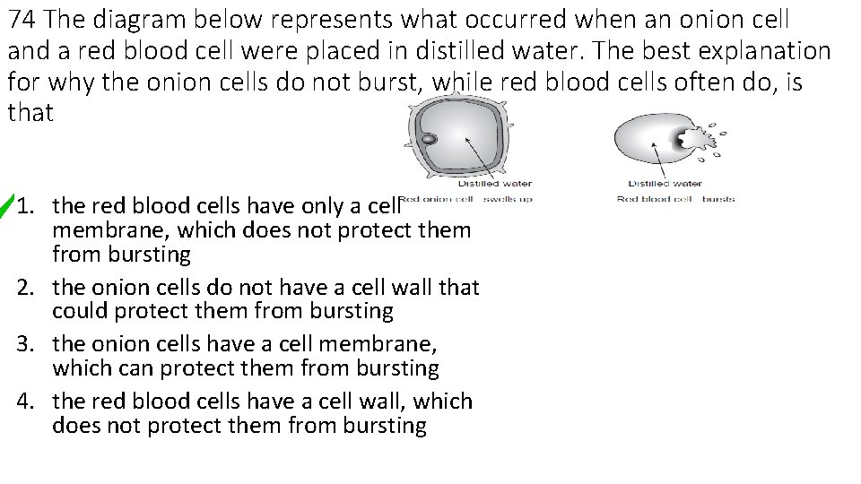 74 The diagram below represents what occurred when an onion cell and a red