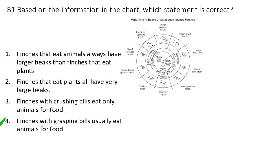 81 Based on the information in the chart, which statement is correct? 1. Finches