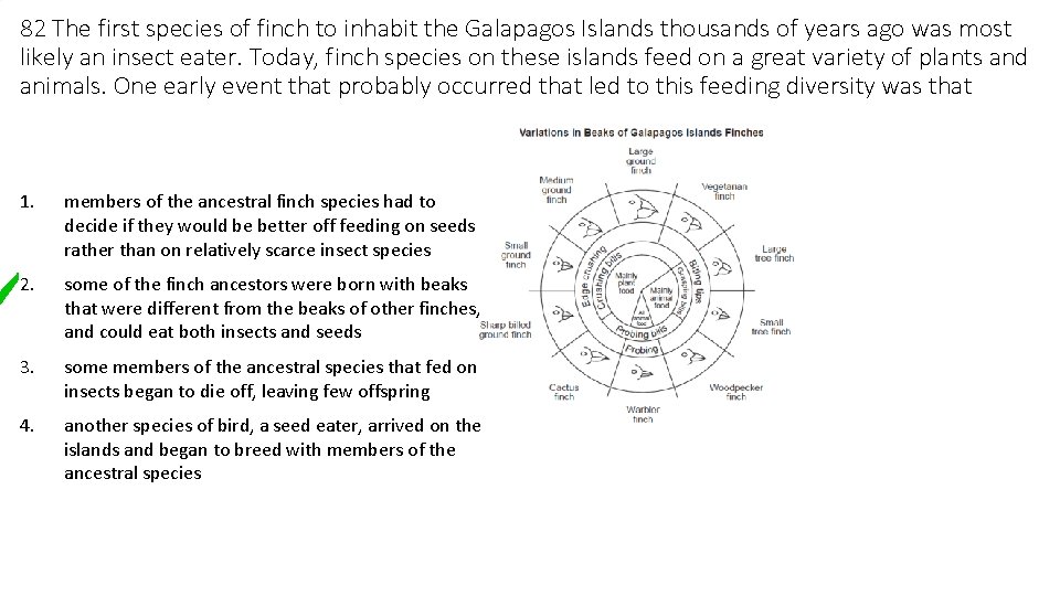 82 The first species of finch to inhabit the Galapagos Islands thousands of years