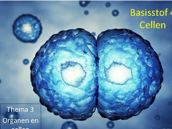 Basisstof 4 Cellen Thema 3 Organen en 