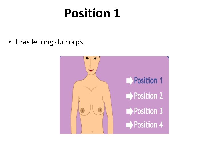 Position 1 • bras le long du corps 