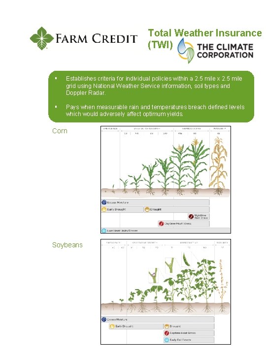 Total Weather Insurance (TWI) § Establishes criteria for individual policies within a 2. 5