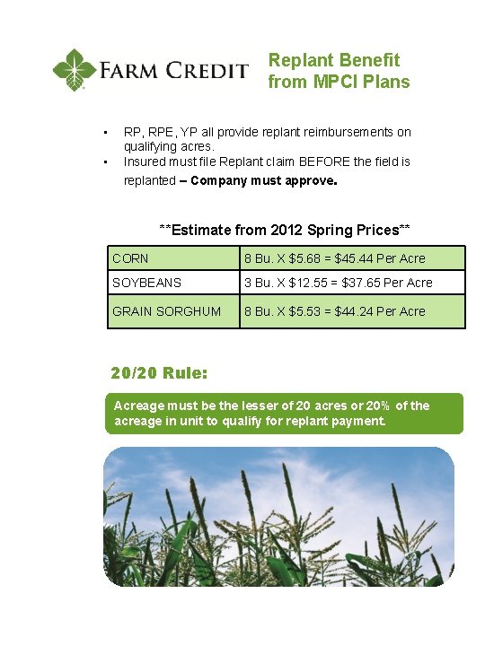 Replant Benefit from MPCI Plans • • RP, RPE, YP all provide replant reimbursements