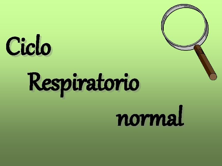 Ciclo Respiratorio normal 