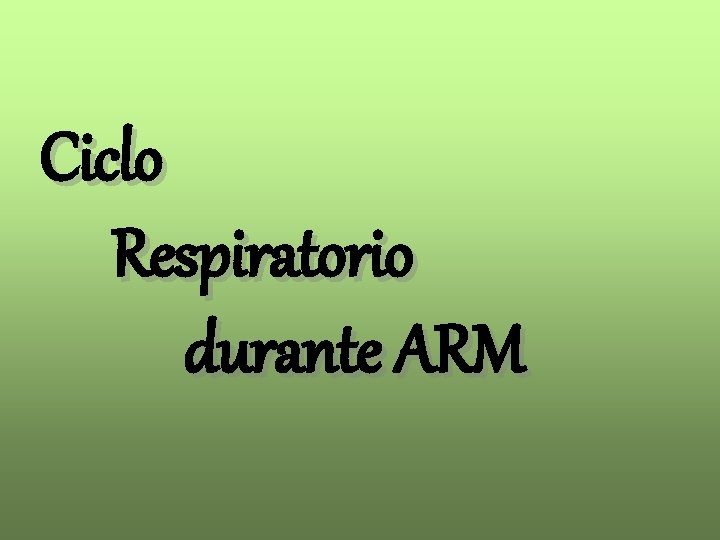 Ciclo Respiratorio durante ARM 