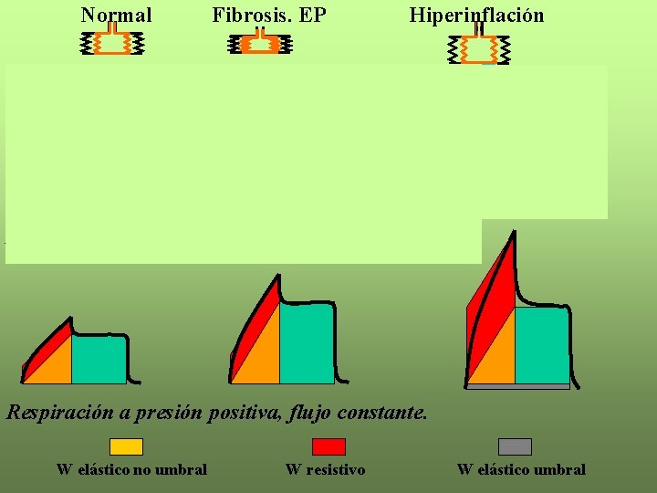 Normal Fibrosis. EP Hiperinflación Vt Flujo Ptp Respiración espontánea Respiración a presión positiva, flujo