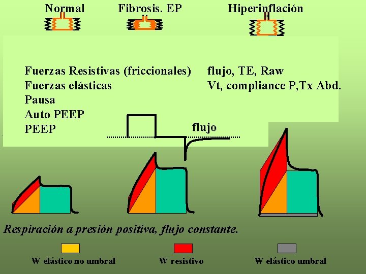 Normal Fibrosis. EP Hiperinflación Vt Flujo Fuerzas Resistivas (friccionales) flujo, TE, Raw Fuerzas elásticas