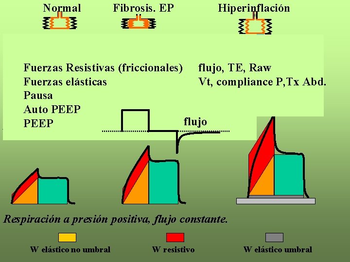 Normal Fibrosis. EP Hiperinflación Vt Flujo Fuerzas Resistivas (friccionales) flujo, TE, Raw Fuerzas elásticas