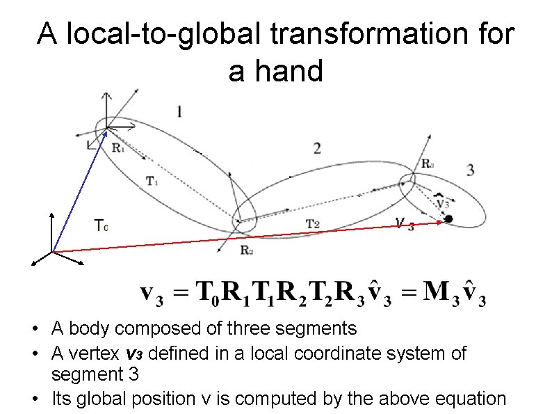 A local-to-global transformation for a hand • A body composed of three segments •