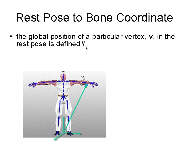 Rest Pose to Bone Coordinate • the global position of a particular vertex, v,