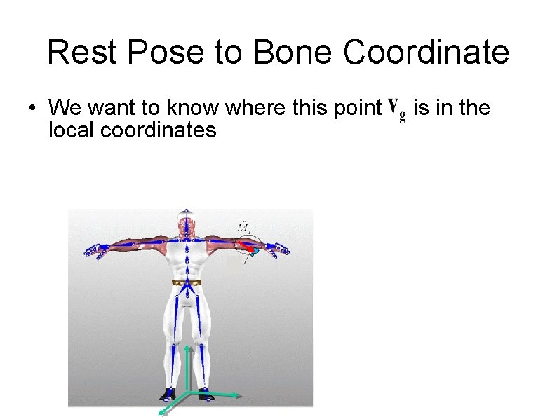 Rest Pose to Bone Coordinate • We want to know where this point local