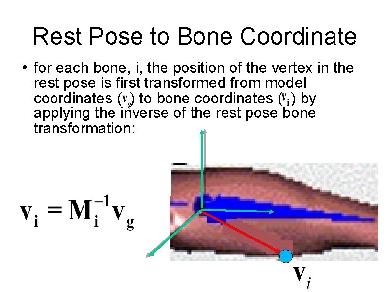 Rest Pose to Bone Coordinate • for each bone, i, the position of the