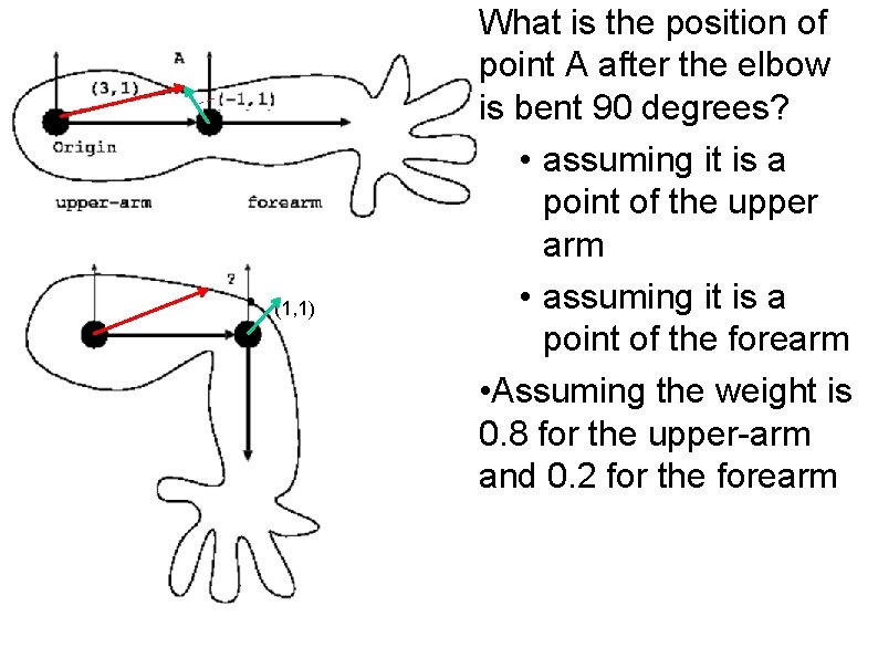 (1, 1) What is the position of point A after the elbow is bent