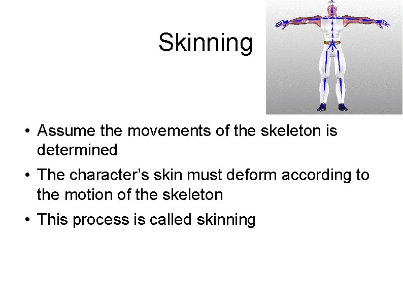 Skinning • Assume the movements of the skeleton is determined • The character’s skin