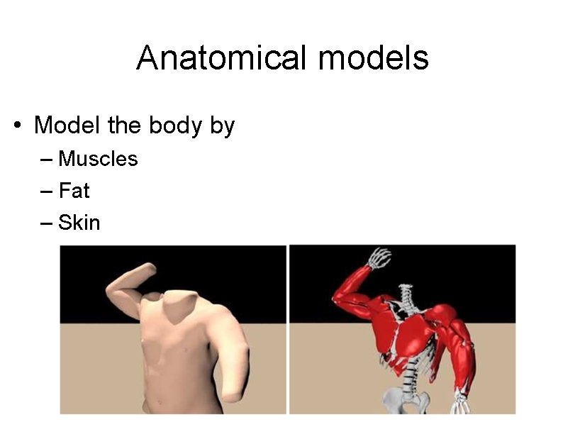 Anatomical models • Model the body by – Muscles – Fat – Skin 
