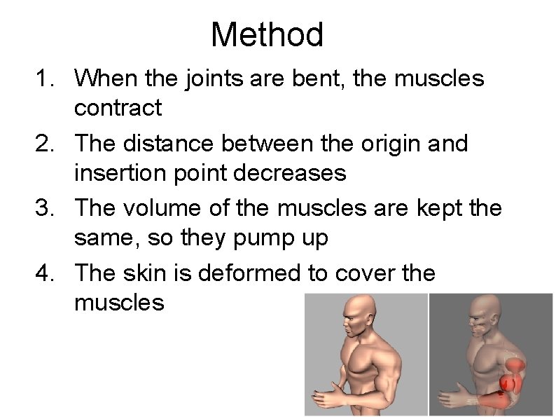 Method 1. When the joints are bent, the muscles contract 2. The distance between