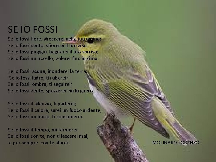 SE IO FOSSI Se io fossi fiore, sboccerei nella tua anima; Se io fossi