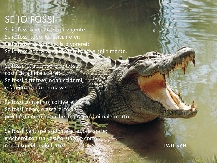 SE IO FOSSI Se io fossi ape, pungerei la gente; Se io fossi topo,