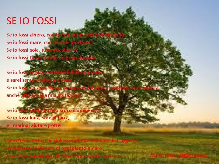 SE IO FOSSI Se io fossi albero, con la mia cima toccherei il mondo;