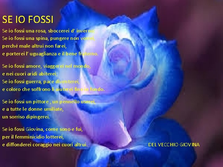 SE IO FOSSI Se io fossi una rosa, sboccerei d’ inverno; Se io fossi