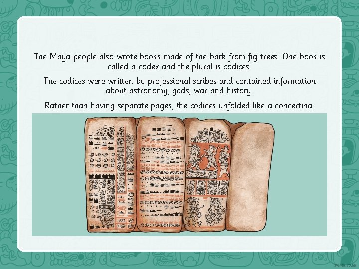 The Maya people also wrote books made of the bark from fig trees. One
