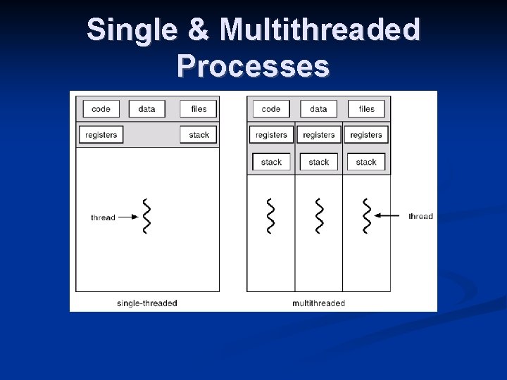 Single & Multithreaded Processes 