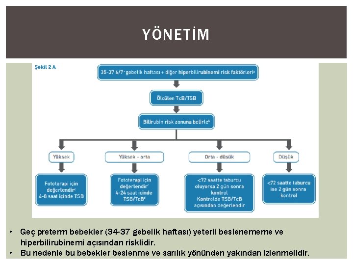 YÖNETİM • Geç preterm bebekler (34 -37 gebelik haftası) yeterli beslenememe ve hiperbilirubinemi açısından