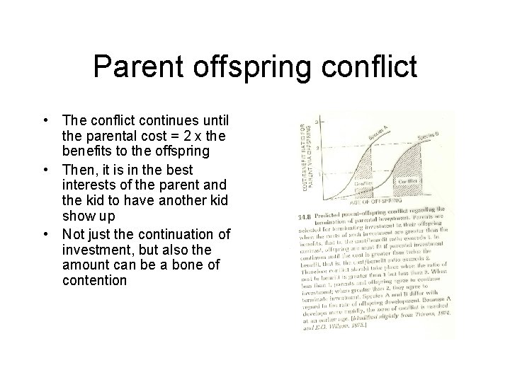 Parent offspring conflict • The conflict continues until the parental cost = 2 x