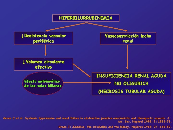 HIPERBILURRUBINEMIA ↓ Resistencia vascular periférica Vasoconstricción lecho renal ↓ Volumen circulante efectivo Efecto natriurético